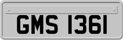 GMS1361