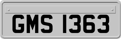 GMS1363