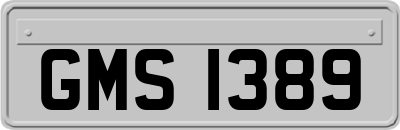 GMS1389