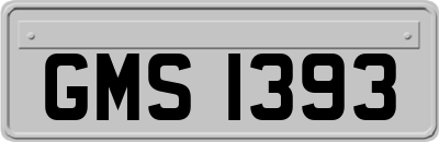 GMS1393