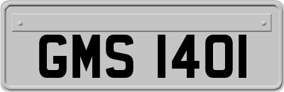 GMS1401