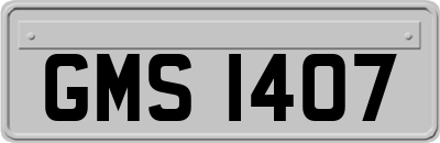 GMS1407