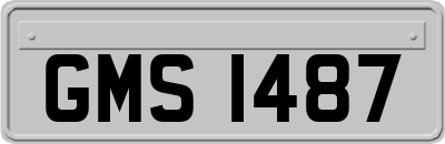 GMS1487