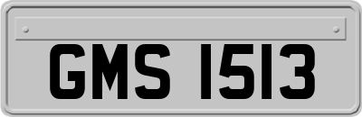 GMS1513
