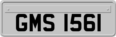 GMS1561