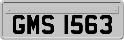 GMS1563