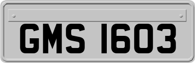 GMS1603