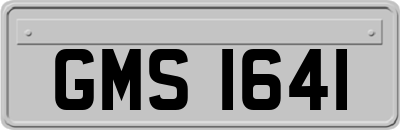 GMS1641
