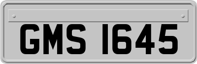 GMS1645