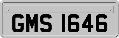 GMS1646
