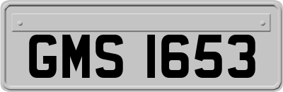 GMS1653