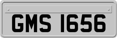 GMS1656