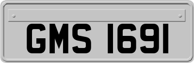 GMS1691