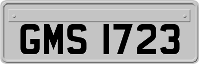 GMS1723