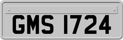 GMS1724