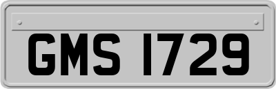 GMS1729