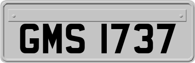 GMS1737