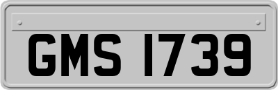 GMS1739