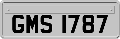 GMS1787