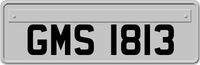 GMS1813