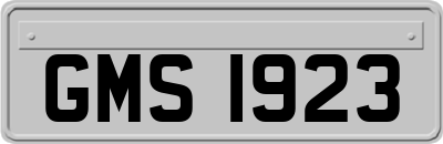 GMS1923