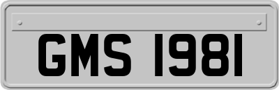 GMS1981