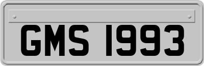 GMS1993