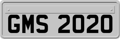 GMS2020