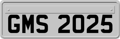 GMS2025
