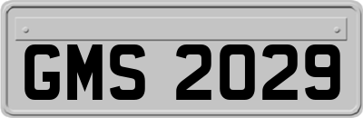 GMS2029