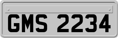 GMS2234
