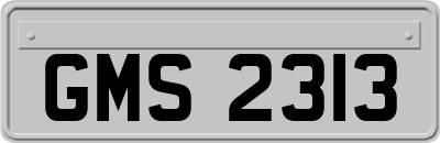 GMS2313