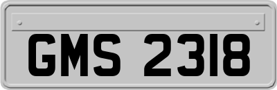 GMS2318