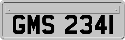 GMS2341