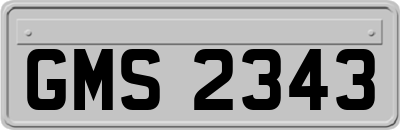 GMS2343