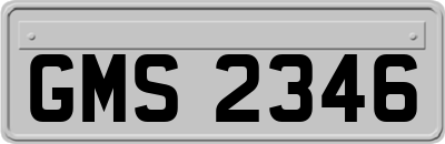 GMS2346