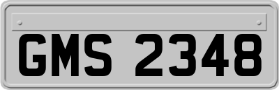 GMS2348