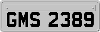 GMS2389