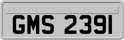 GMS2391