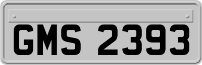 GMS2393