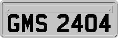 GMS2404