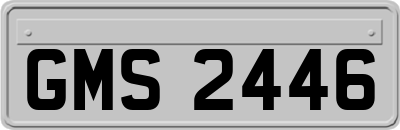 GMS2446