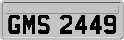GMS2449