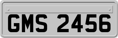 GMS2456