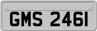 GMS2461