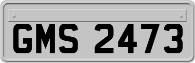 GMS2473