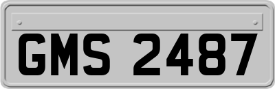 GMS2487