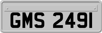 GMS2491