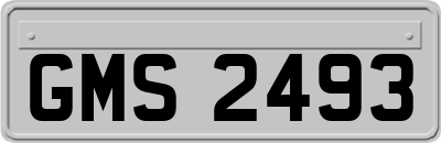 GMS2493