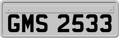 GMS2533